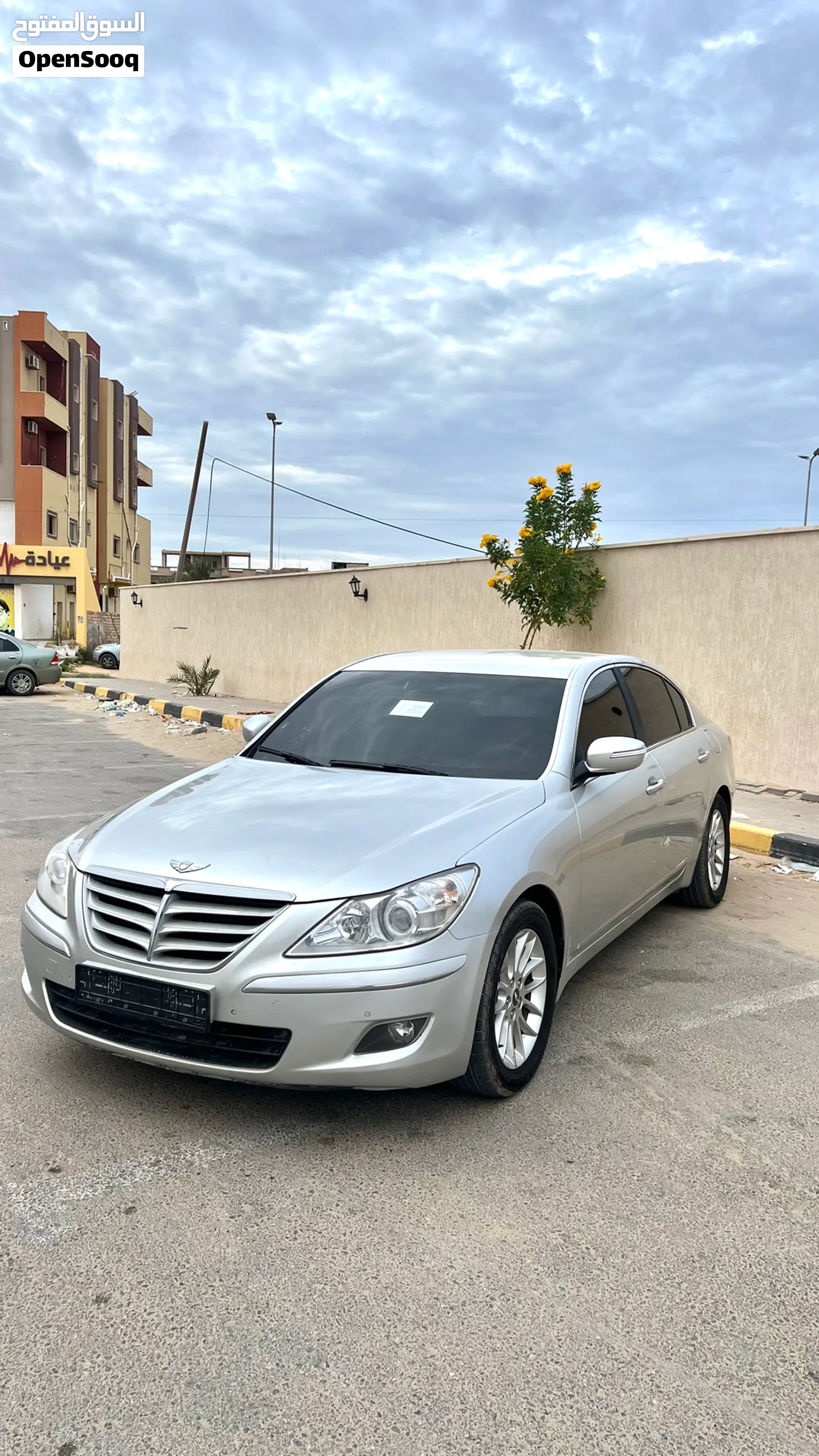 جينيسيس أخرى 2010