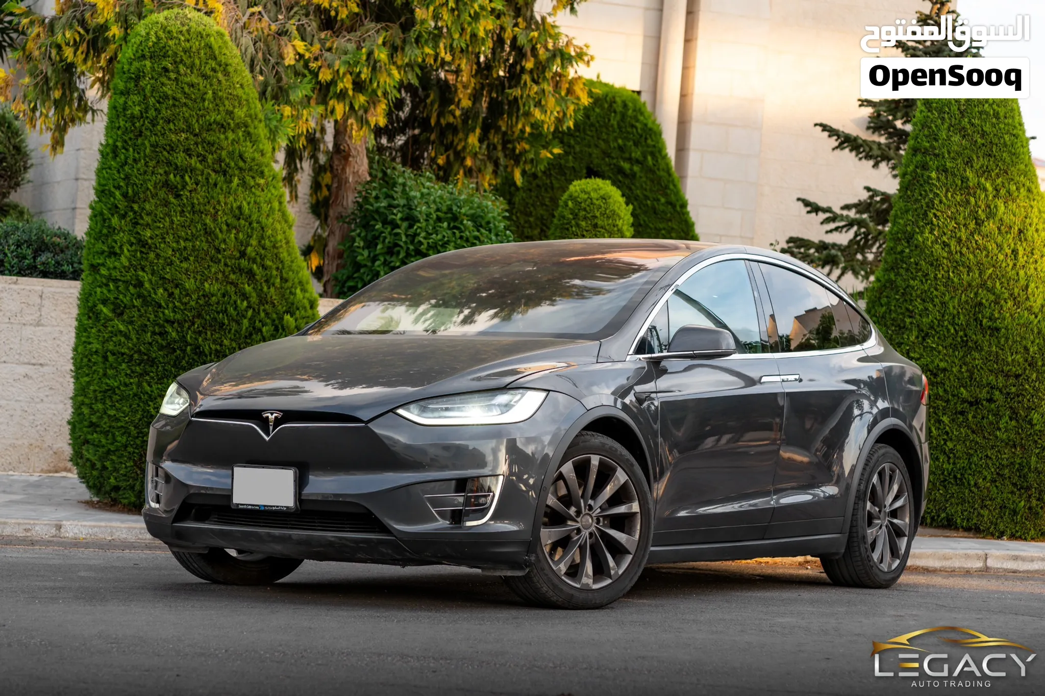 2019 Tesla Model X - Long Range - Dual