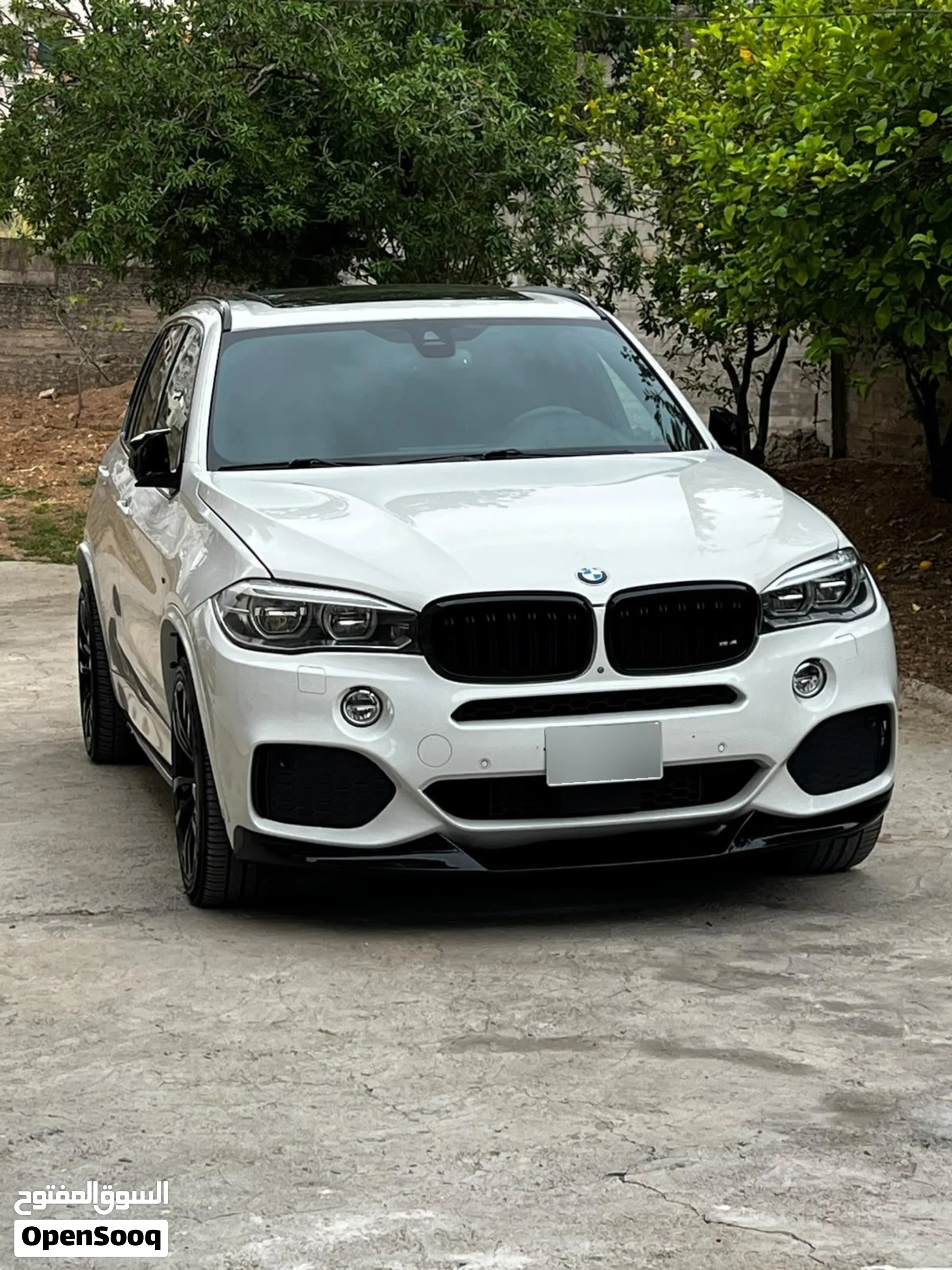 X5 Bmw 3000Desel