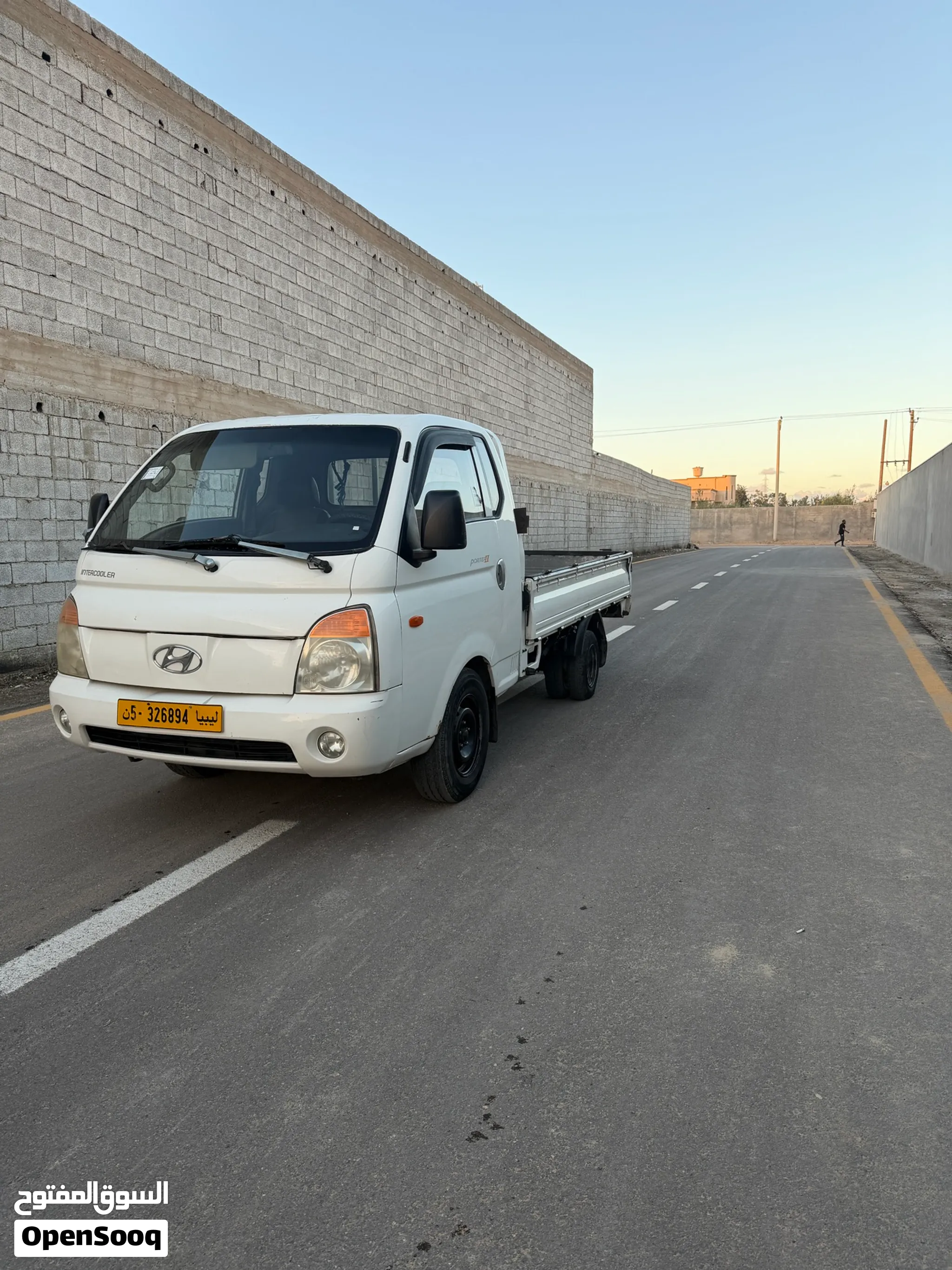 هيونداي بورتر