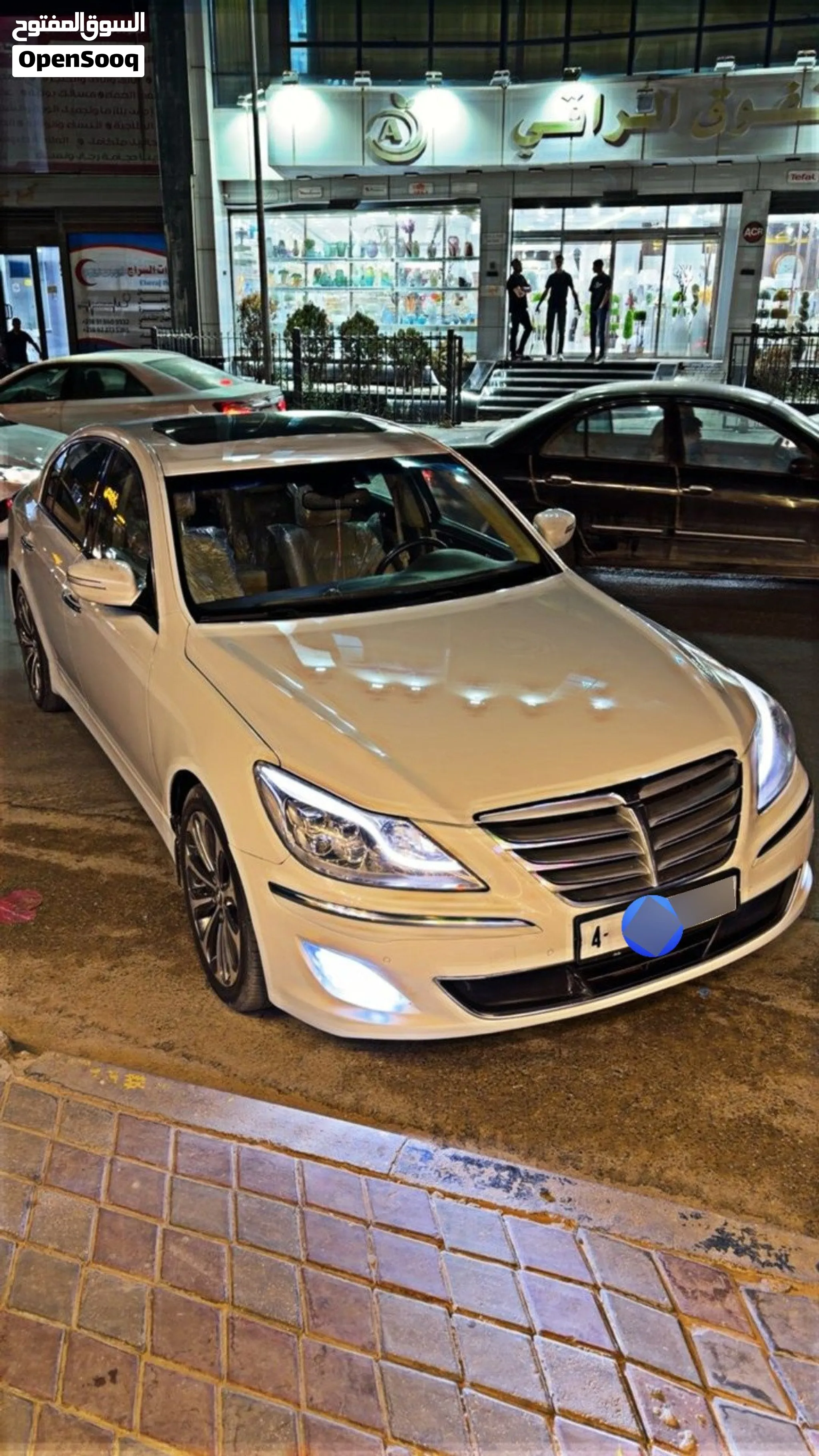 جينسس برادا 2013