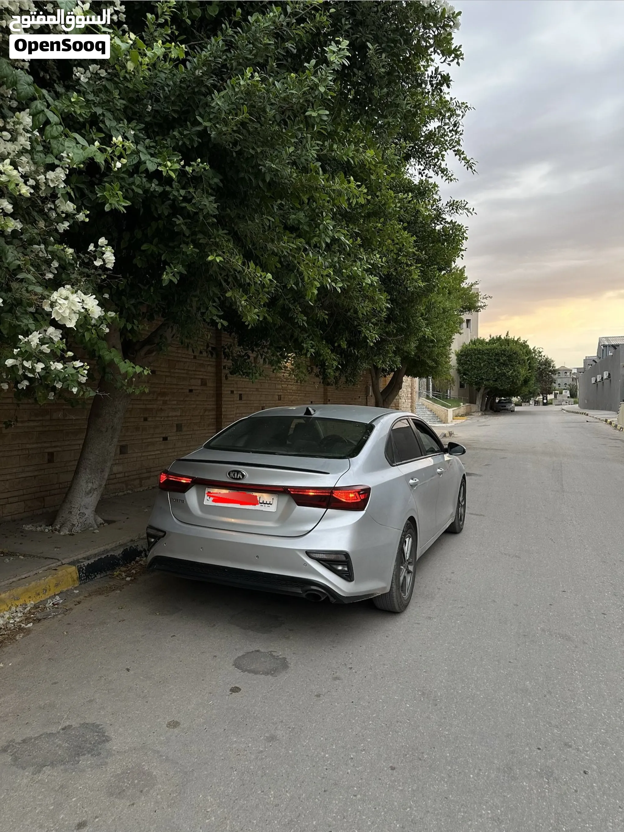 فورتي 2020