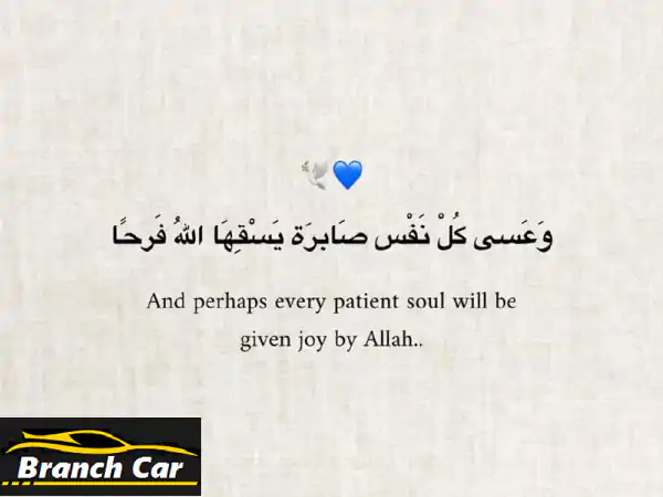 فرصة ذهبية للمشترين الجادين: اسكراب دودج...