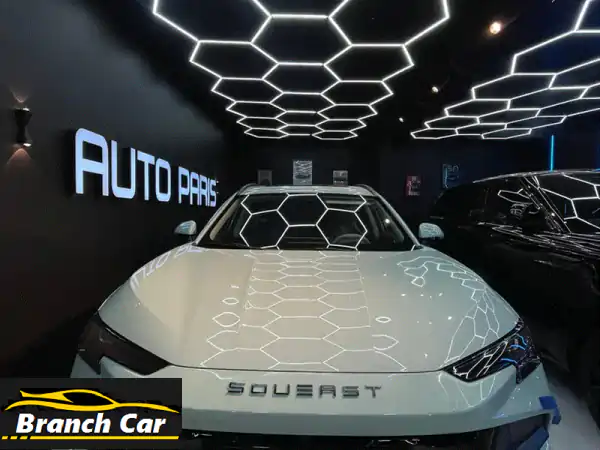 ساوايست اس 062026 البريميوم  (Premium)