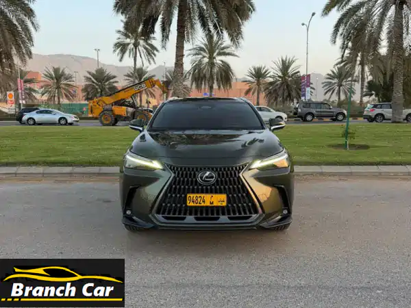 فرصة لا تعوض: لكزس NX 350 دفع رباعي 2024 خليجية رقم 1 |...