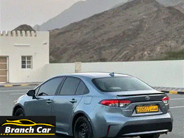 تويوتا كورولا 2019