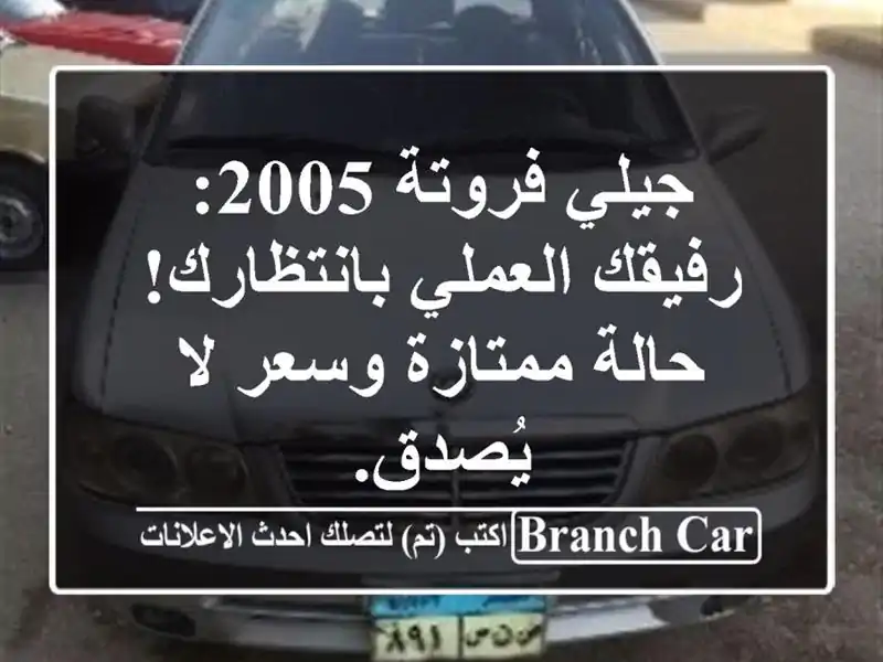 جيلي فروتة 2005: رفيقك العملي بانتظارك! حالة ممتازة...