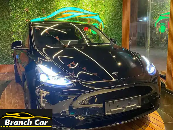 تسلا موديل Y 2023 لونج رينج: 688 كم مدى | قيادة ذكية | أمان...