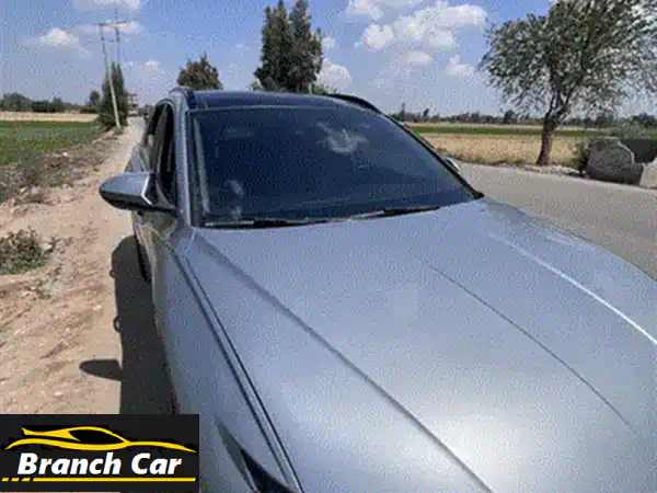 المنوفيه شبين الكوم