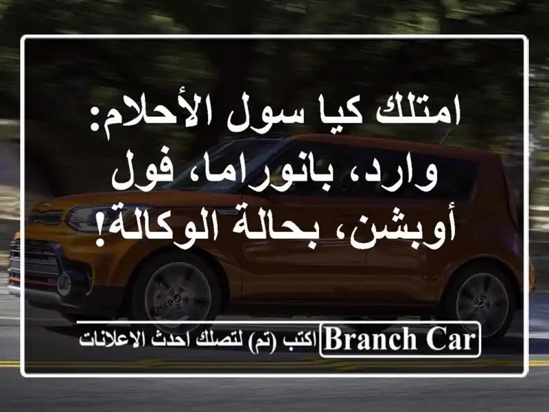 امتلك كيا سول الأحلام: وارد، بانوراما، فول...