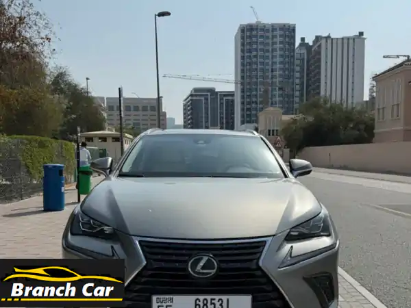 لكزس NX 300 V4 2.0L موديل 2020 أمريكية كاملة | فخامة وأداء...