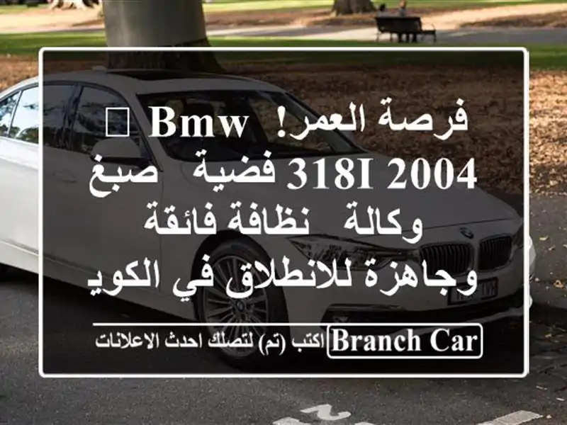 فرصة العمر! 💎 BMW 318i 2004 فضية - صبغ وكالة - نظافة...