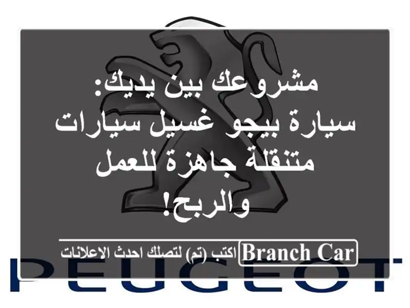 مشروعك بين يديك: سيارة بيجو غسيل سيارات متنقلة...