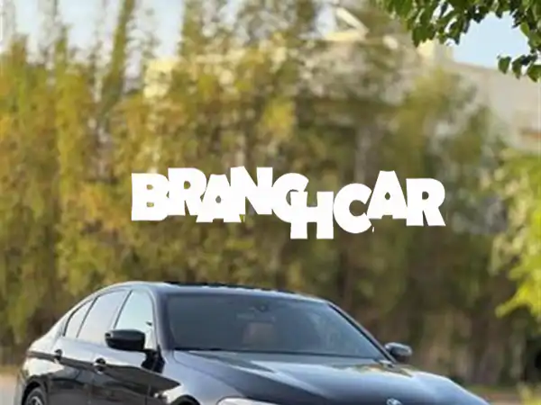 BMW الفئة الخامسة 530 d M Edition