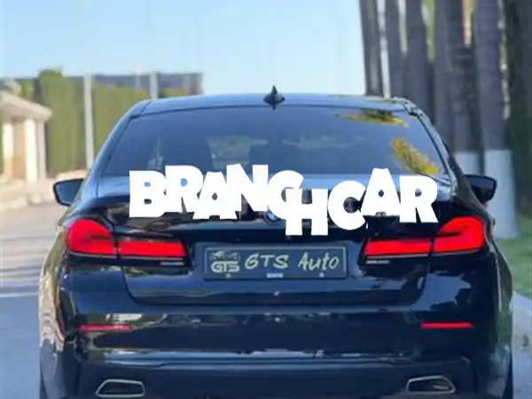 BMW Série 520 ديزل