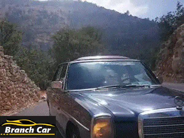 MercedesBenz 200 Series 1974 قطش