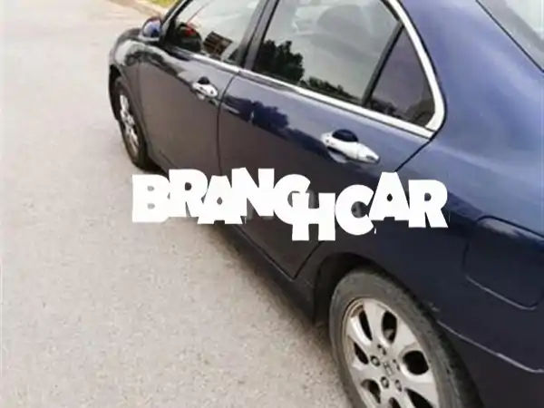 بوس تي تي أوبشن يدوي