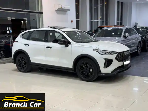 هافال جوليون 2025 (أبيض) المسافة المقطوعة: 8,150...