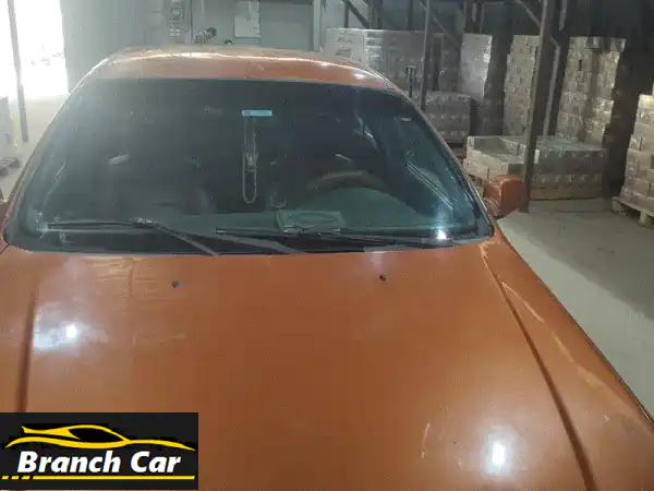 بنها القليوبيه