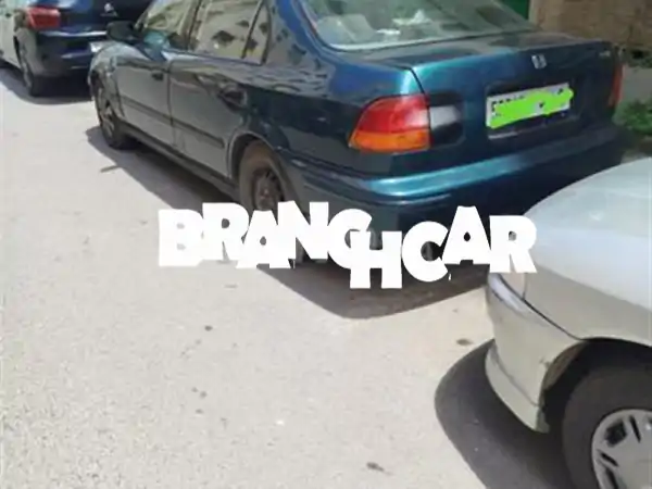 مرحبا يبدأ وزد