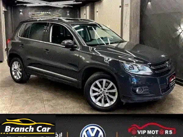 Volkswagen Tigwan 2015