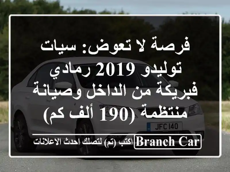 فرصة لا تعوض: سيات توليدو 2019 رمادي - فبريكة من...