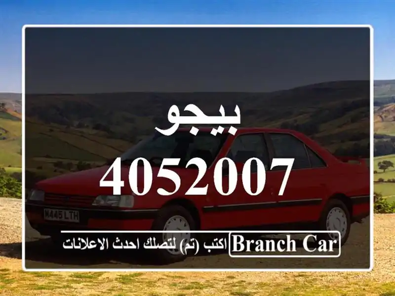 بيجو 4052007