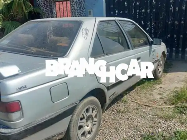 بيجو 4057 أحصنة