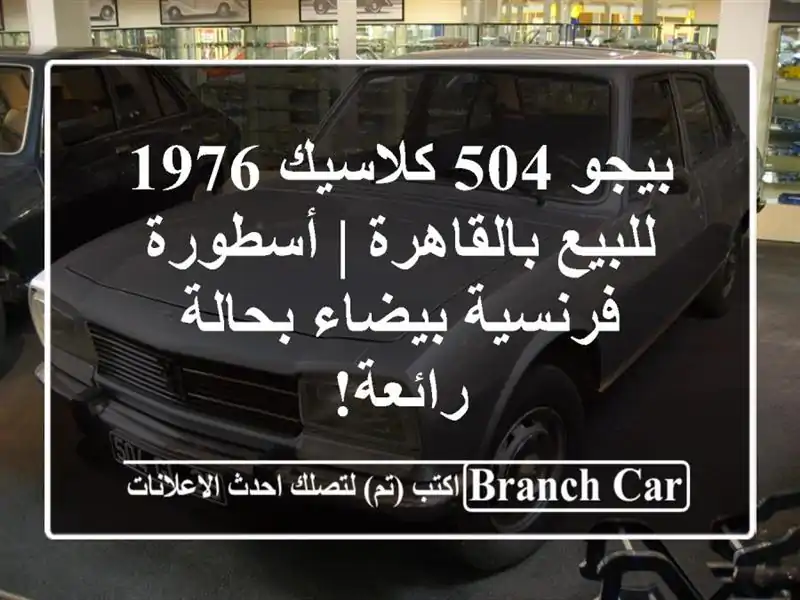 بيجو 504 كلاسيك 1976 للبيع بالقاهرة | أسطورة فرنسية...