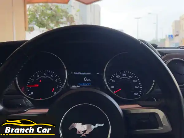Mustang GT 5.0 performance package