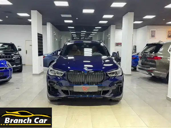 BMW X52023
