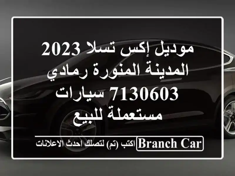 موديل إكس تسلا 2023 المدينة المنورة رمادي 7130603...