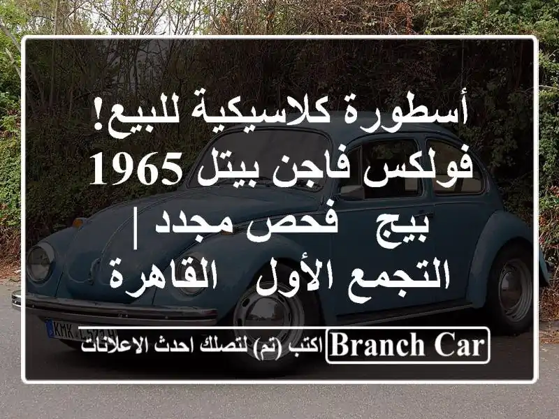 أسطورة كلاسيكية للبيع! فولكس فاجن بيتل 1965 بيج -...