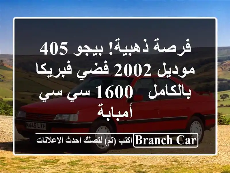 فرصة ذهبية! بيجو 405 موديل 2002 فضي فبريكا بالكامل - 1600...
