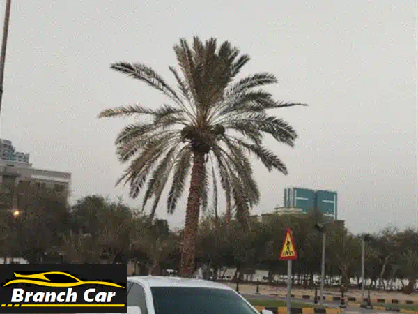 امتلك الآن: شيفروليه امبالا 2015 LT خليجي | صبغ وكالة...