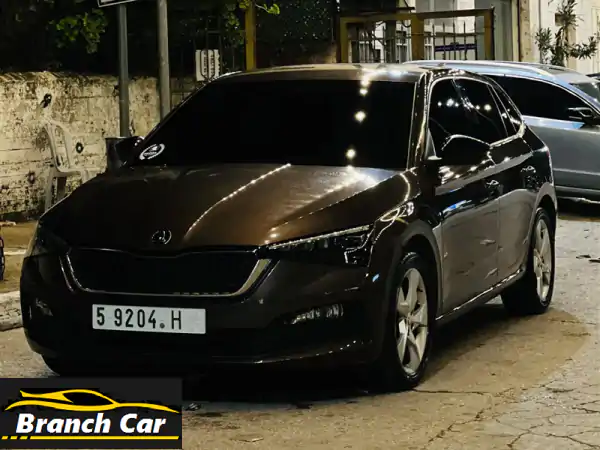 Skoda 2020