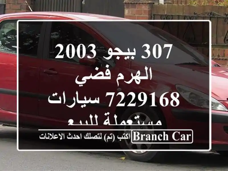 307 بيجو 2003 الهرم فضي 7229168  سيارات مستعملة للبيع