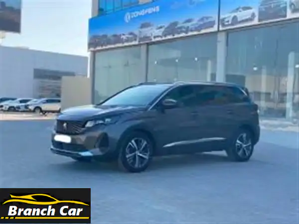 بيجو 50082024 (رمادي)