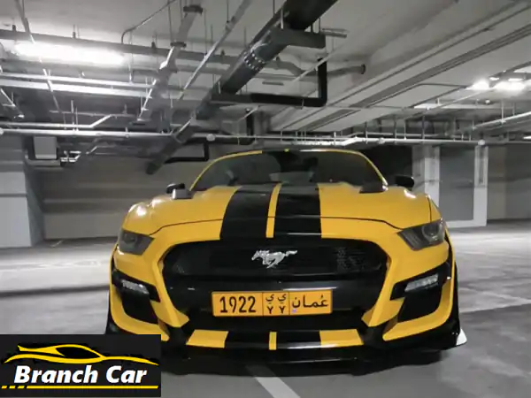 موستانج كشف ⁦2015⁩ ⁦Ford⁩ ⁦Mustang⁩ ⁦Convertible⁩