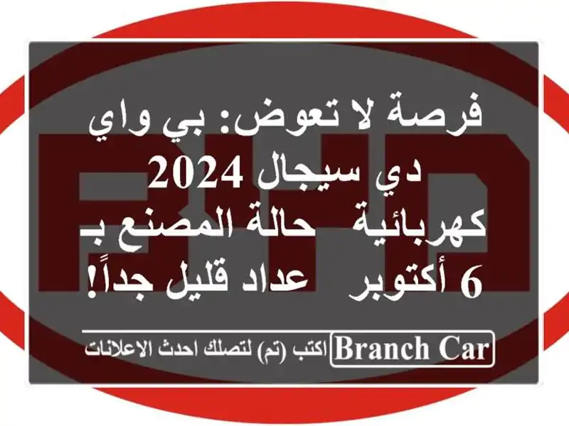 فرصة لا تعوض: بي واي دي سيجال 2024 كهربائية - حالة...