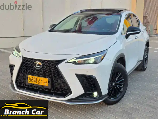 Lexus NX 3002023