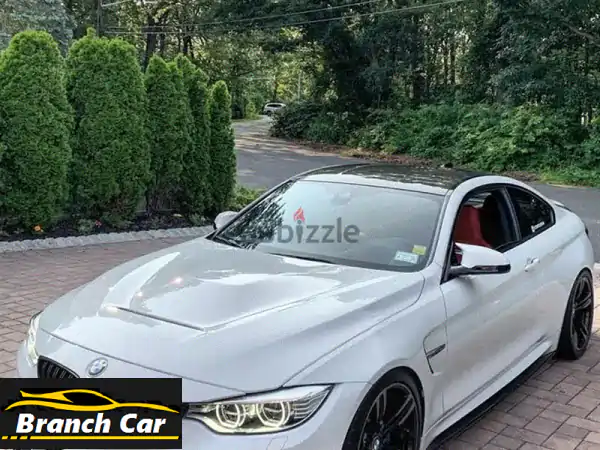 BMW M42022