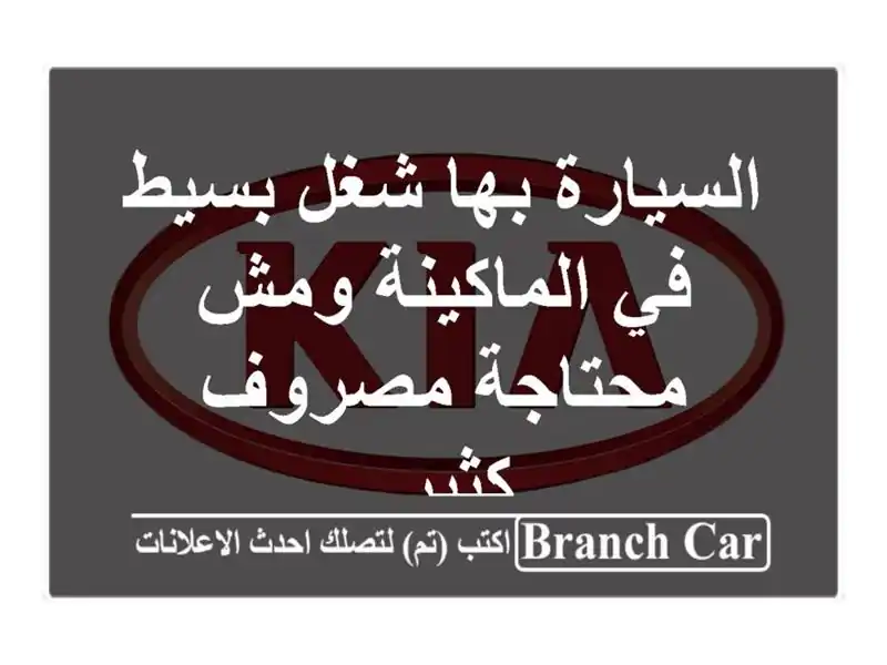 السيارة بها شغل بسيط في الماكينة ومش محتاجة مصروف كثير.